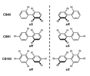 new-insight-into-how-l-5